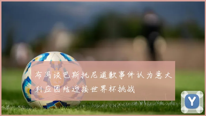 布冯谈巴斯托尼道歉事件认为意大利应团结迎接世界杯挑战